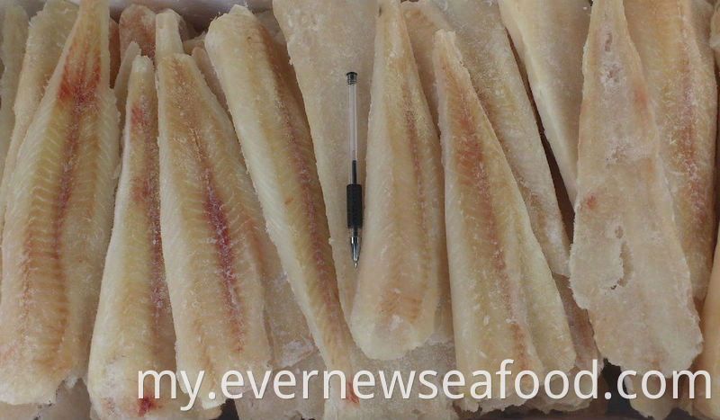 လတ်ဆတ်သော အေးခဲထားသော ငါးအသားလွှာ hake အသားလွှာ အေးခဲထားသည်။